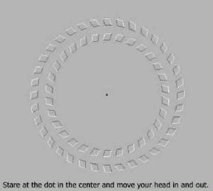 illusion1.jpg